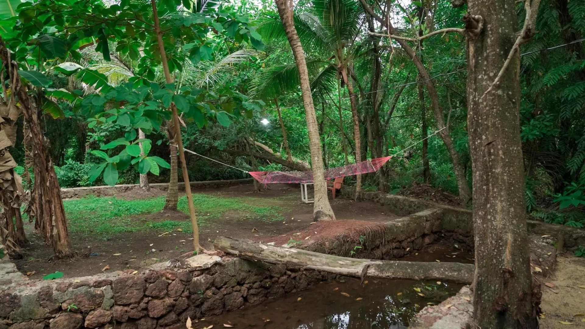 Bed & Breakfast Templetree Inn Varkala Indie